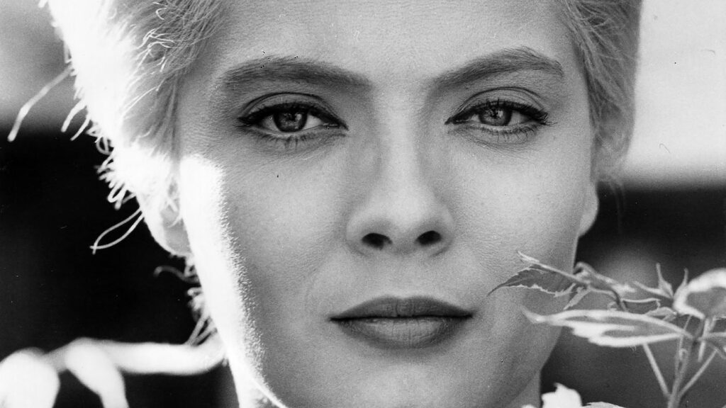 De Blik van Varda – Focus op het werk van Agnès Varda